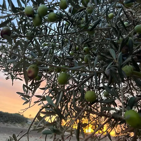 Κατάλυμα σε φάρμα Casale Pennisi